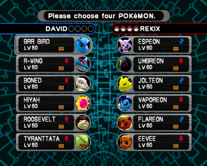 Pokémon XD sale Puzzle